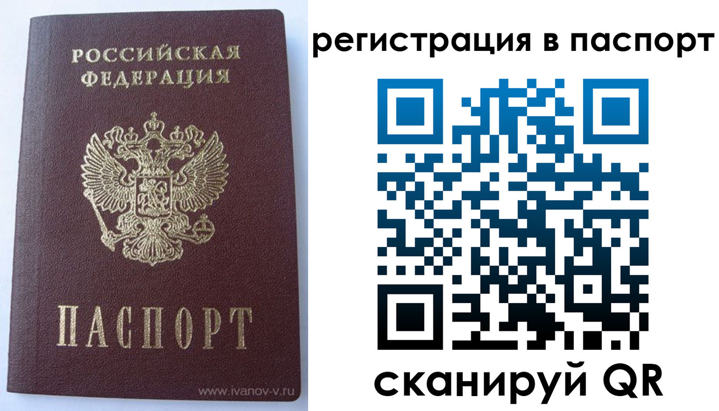 прописка поиск в Ершове